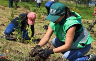 Funcionaria de la UAESP planta uno de los árboles en el Parque de Innovación Doña Juana.