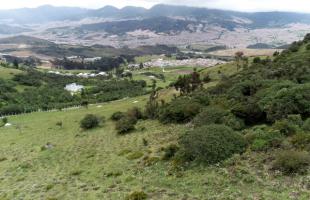 Imagen panorámica de uno de los predios reforestados por parte de la UAESP en Mochuelo Alto.