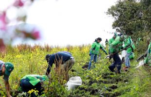 Funcionarios de la UAESP están plantando árboles en uno de los predios de Mochuelo Alto.