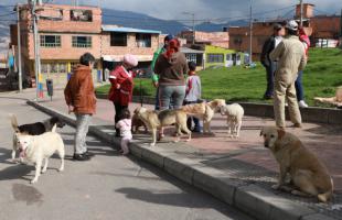 Vecinos de Mochuelo Bajo participan en una jornada de responsabilidad de tenencia de mascotas. 
