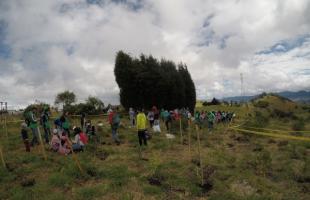 Niños de Ciudad Bolívar sembraron 150 árboles en Mochuelo Alto