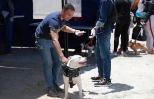 Se esterelizaron aproximadamente 180 mascotas, entre perros y gatos, en la Feria de Servicios. (Dueño con el perro).