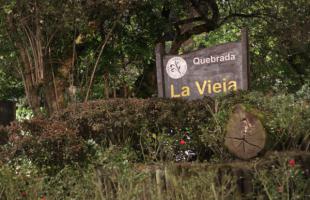 El ingreso a la Quebrada La Vieja está ubicado en la Diagonal 70 B con Carrera Segunda Este en la localidad de Chapinero. Este sendero permite avistamiento de aves y otras especies nativas que se conectan con los Cerros Orientales de Bogotá. 