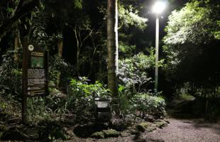 El ingreso al sendero ecológico de la Quebrada La Vieja, ubicado en el barrio Rosales tiene nuevas luminarias. En total, fueron modernizadas 15 bombillas de sodio a led que mejora la percepción de colores, amplia el rango de iluminación y genera mejores entornos durante la noche. 