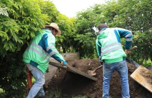 En el predio Los Manzanos realizamos un proceso de compostaje para utilizar como abono a los árboles que sembramos en esta zona de Bogotá.