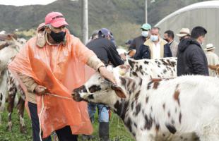 UAESP acompaña a comunidad de Mochuelo en Feria Ganadera