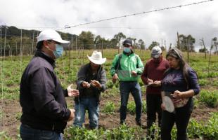 Habitantes de Mochuelo aprenden técnicas de siembra y comercialización de cultivos transitorios