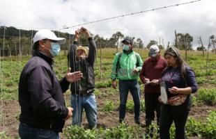 Habitantes de Mochuelo aprenden técnicas de siembra y comercialización de cultivos transitorios