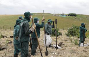 Seguimos plantando árboles en Mochuelo