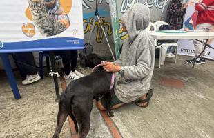 Perro con su dueño 