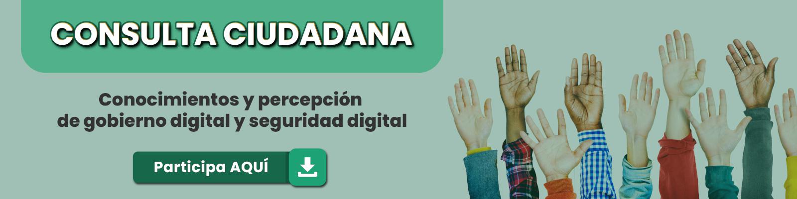 Consulta Ciudadana Conocimientos  y percepción de gobierno digital y seguridad digital
