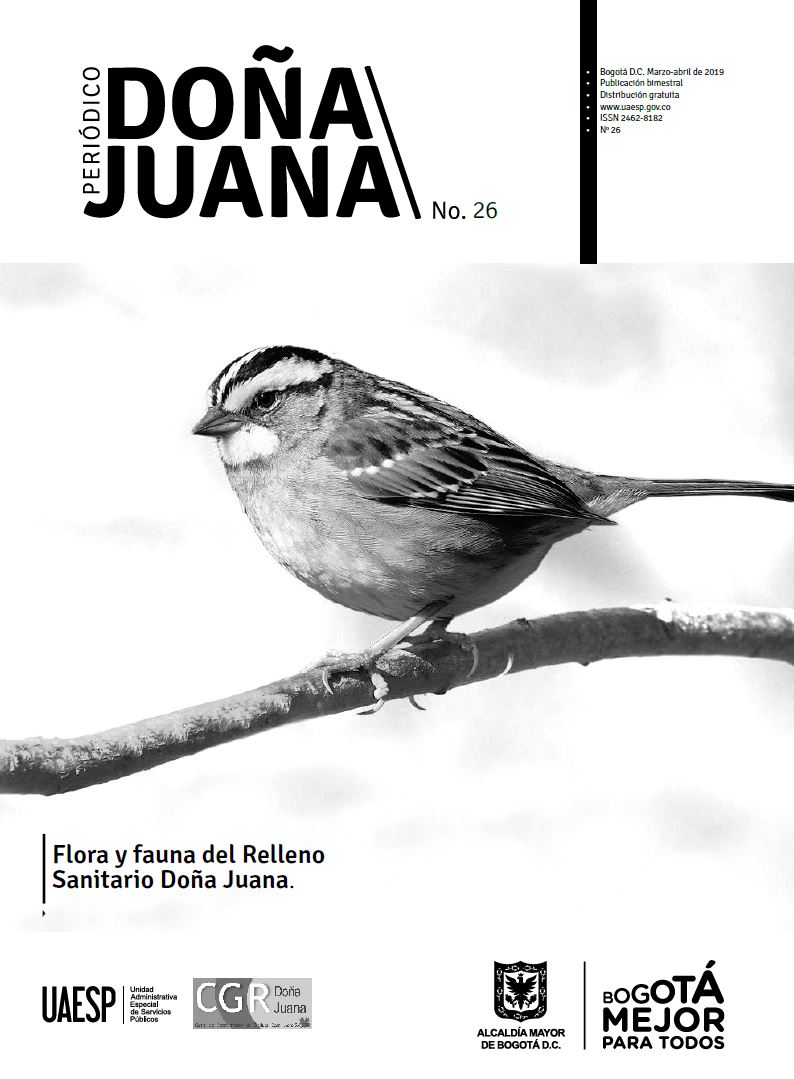 Periódico Doña Juana 26