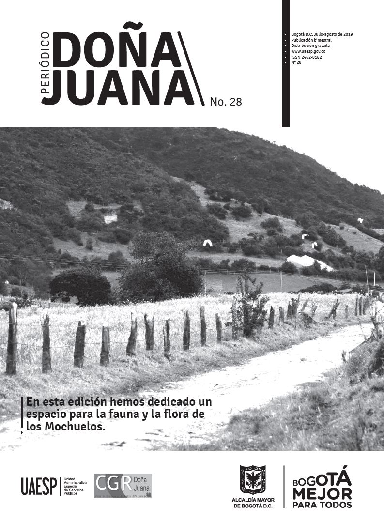 Periódico Doña Juana 28