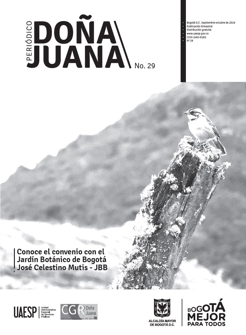 Periódico Doña Juana 29